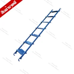 scaffolding ladder